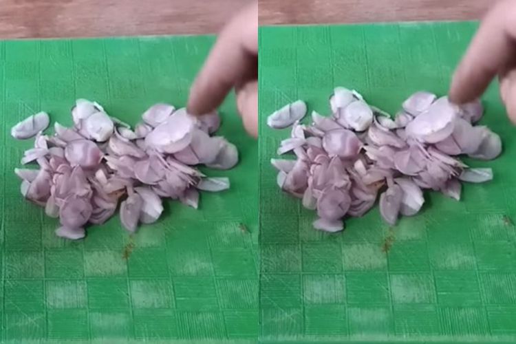 Trik mengiris bawang merah pakai botol bekas, hasilnya rapi, awet, dan aman digunakan
