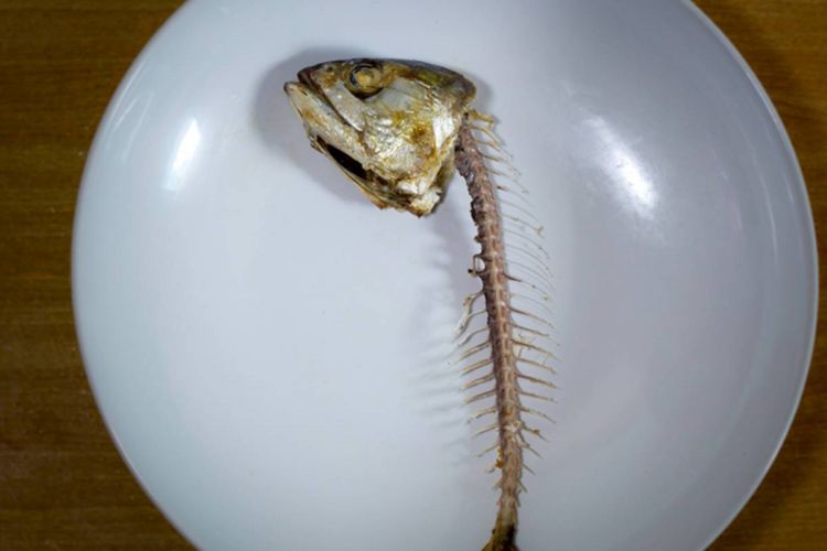 Duri ikan tersangkut tapi pakai gumpalan nasi tidak mempan? Coba cara ampuh ini untuk mengatasinya