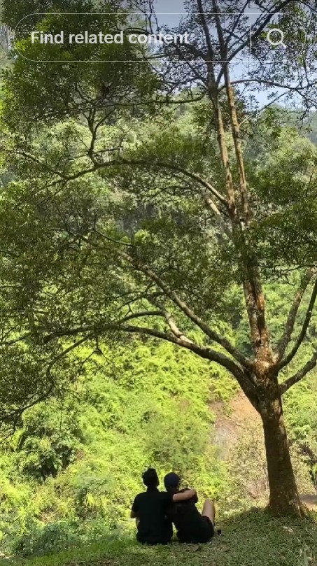 Niat ngonten romantis, viral ponsel sejoli malah direbut monyet yang ikut 'ngevlog', ini kronologinya