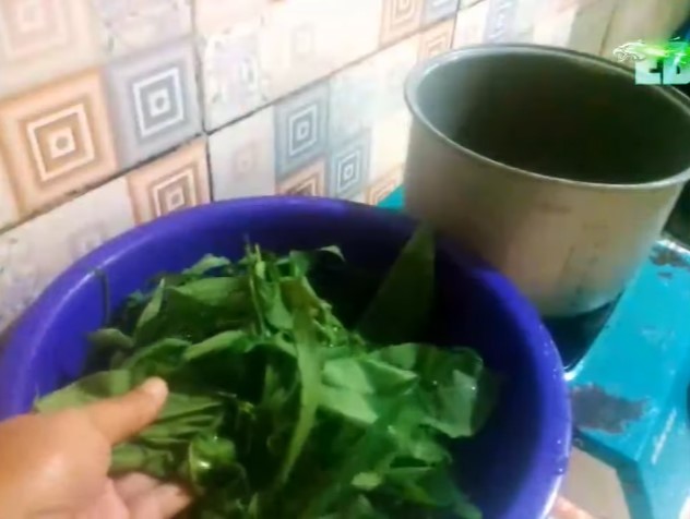 Antigagal! Begini cara merebus daun singkong agar empuk dan hijau dalam 5 menit