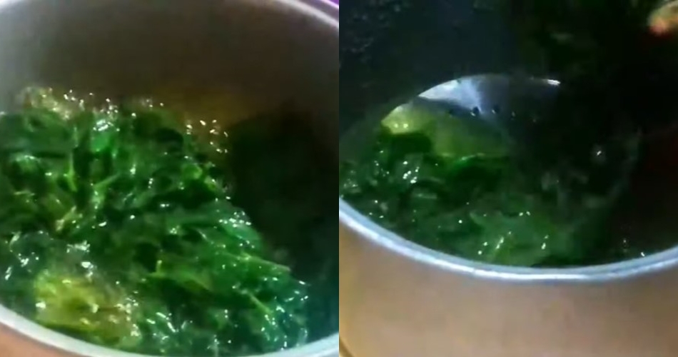Antigagal! Begini cara merebus daun singkong agar empuk dan hijau dalam 5 menit