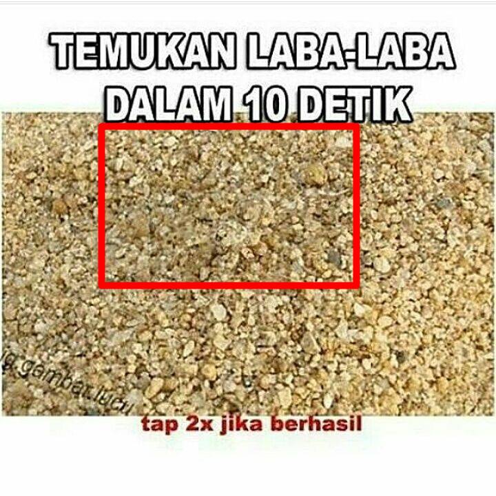 8 Tebak-tebakan gambar lucu ini dijamin bikin mata dan otak auto ngebut fokus, kamu bisa jawab?