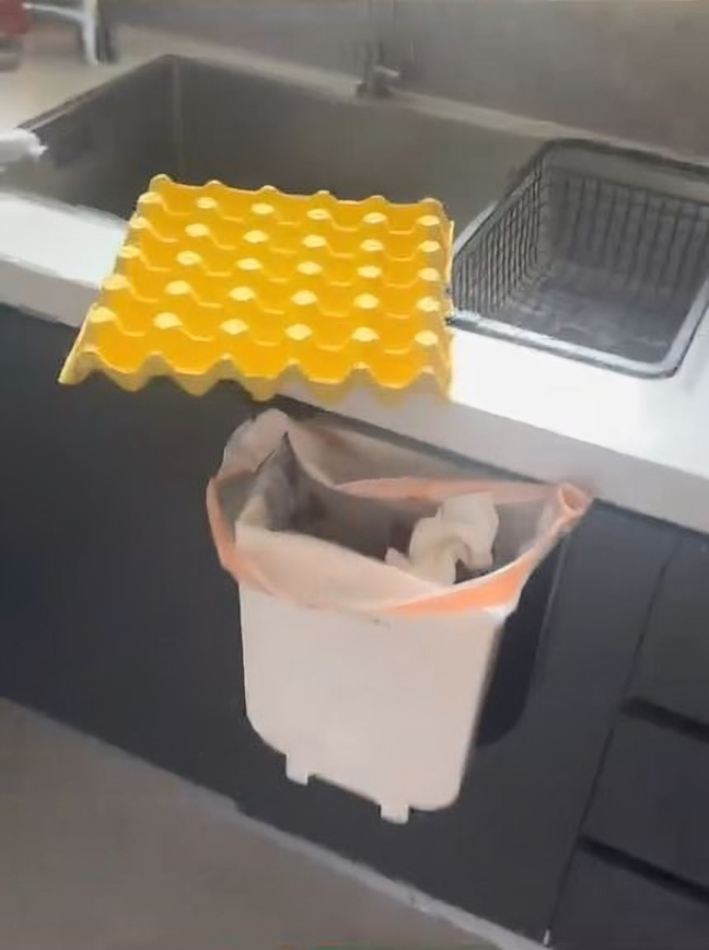 Ditinggal pemilik liburan 2 hari, 2 kerat isi telur ini jadi anak ayam, endingnya tak terduga