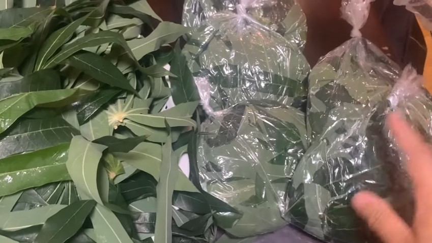 Nggak perlu alat vakum, ini cara simpan daun singkong awet berbulan-bulan