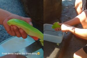 Nggak perlu sarung tangan, begini cara praktis olah labu siam tanpa lengket