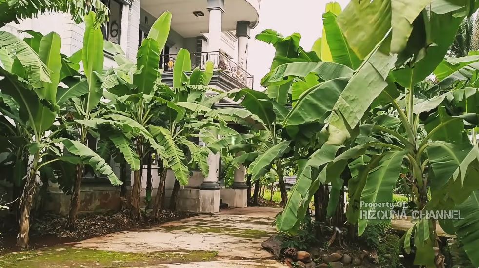 Pernah jadi saksi kejayaan sinetron era 2000-an, 11 potret kondisi rumah putih ini kini miris