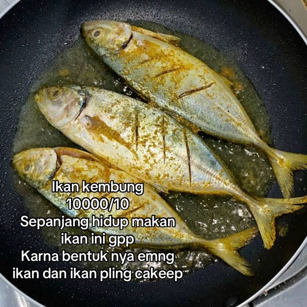 Bukan dari rasa, wanita ini beri rating seberapa good looking 13 ikan yang dia makan dari tampilannya