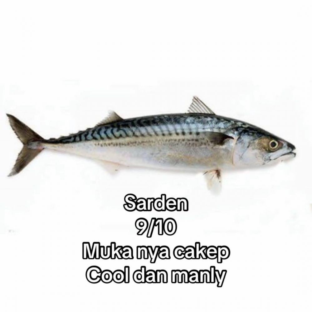 Bukan dari rasa, wanita ini beri rating seberapa good looking 13 ikan yang dia makan dari tampilannya