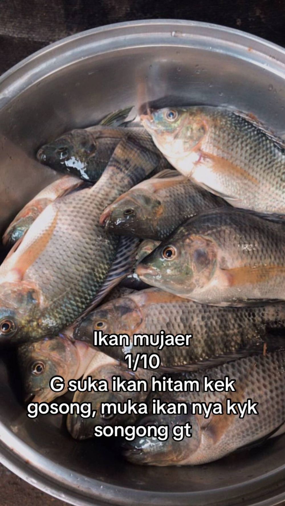 Bukan dari rasa, wanita ini beri rating seberapa good looking 13 ikan yang dia makan dari tampilannya