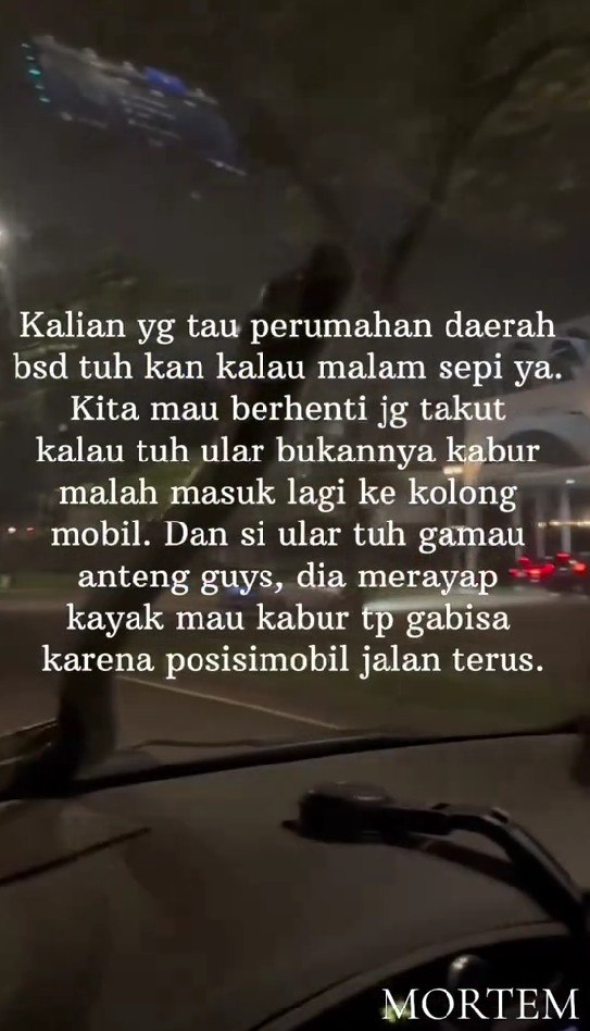 Viral video ular tiba-tiba merayap di kaca mobil sampai buat pengemudi panik, ini cerita lengkapnya