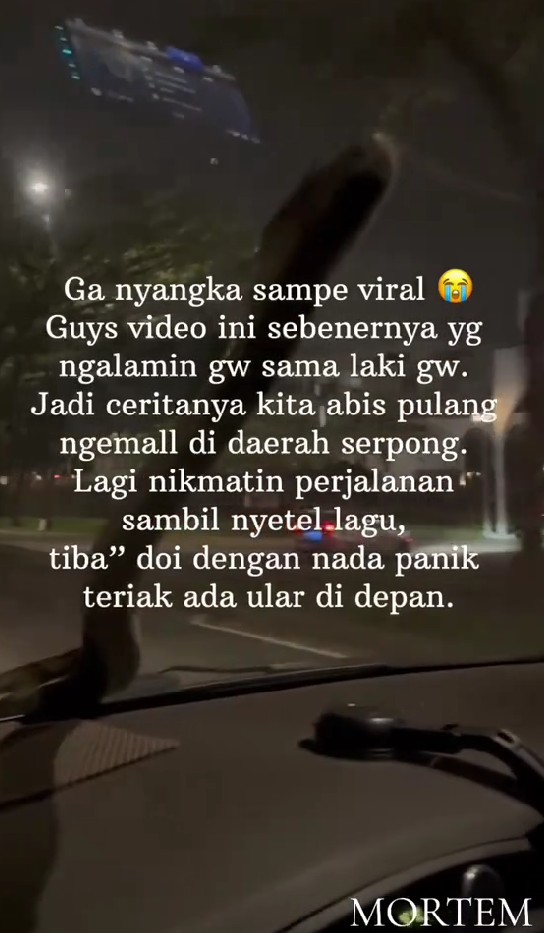 Viral video ular tiba-tiba merayap di kaca mobil sampai buat pengemudi panik, ini cerita lengkapnya
