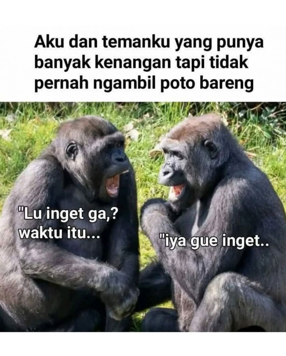13 Meme lucu yang terlalu relate buat hidup orang dewasa, bikin ngakak sambil nangis capek