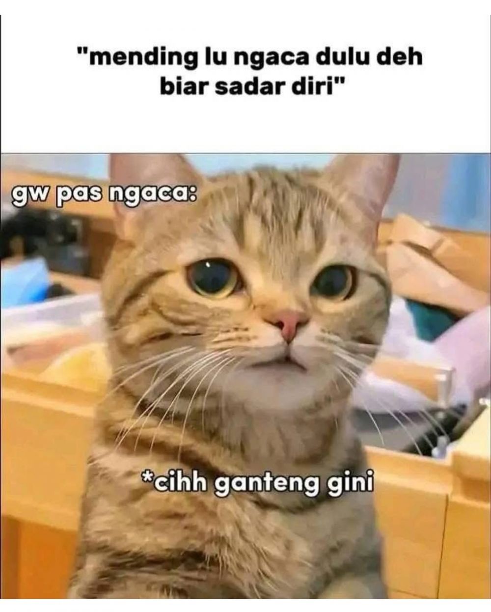 13 Meme lucu yang terlalu relate buat hidup orang dewasa, bikin ngakak sambil nangis capek