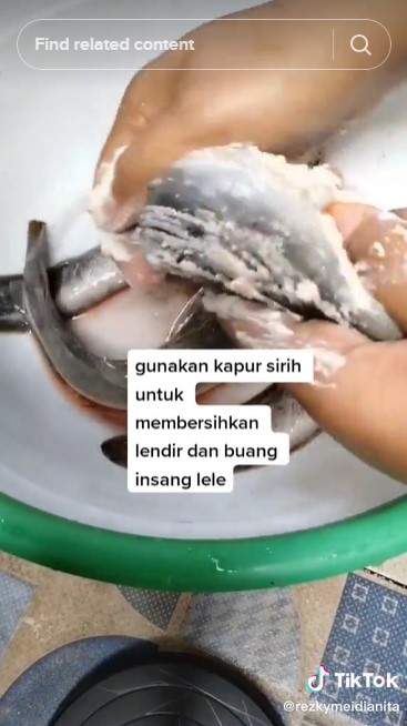 Stop pakai garam! Ini cara ampuh bersihkan lendir lele biar nggak amis dan lebih kesat