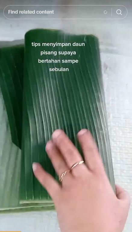 Nggak perlu kulkas, daun pisang auto awet 3 minggu tak menguning cuma dengan trik simpel ini