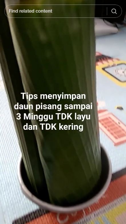 Nggak perlu kulkas, daun pisang auto awet 3 minggu tak menguning cuma dengan trik simpel ini
