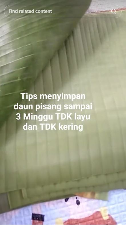 Nggak perlu kulkas, daun pisang auto awet 3 minggu tak menguning cuma dengan trik simpel ini