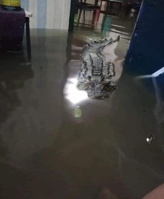 8 Momen lucu bikin panik ini deg-deg kannya berasa banget, salah satunya ketemu polisi di jalan