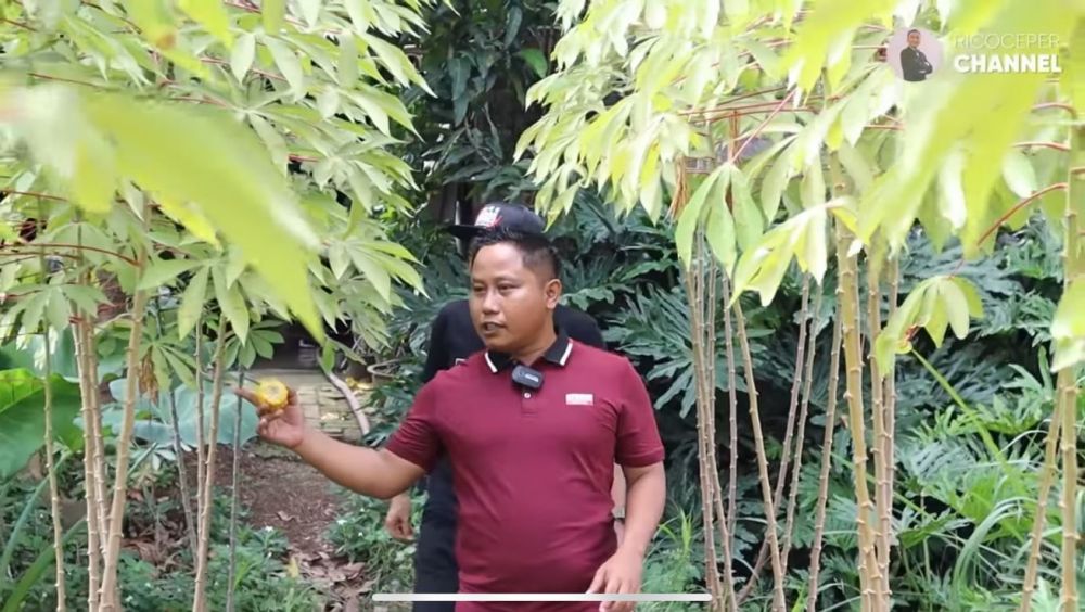 Sarjana ekonomi sukses jadi pelawak, 15 potret rumah mewahnya ini ada kebun seluas lapangan bola