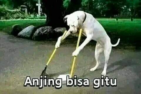 Ketika 10 meme lucu ini diartikan apa adanya ini bikin kesel sekaligus ngakak, salah tapi masuk akal