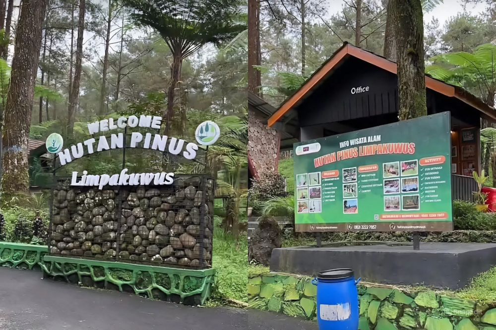 Purwokerto buat "menepi": Panduan solo traveling perempuan, cari ojek aman hingga wisata wajib coba