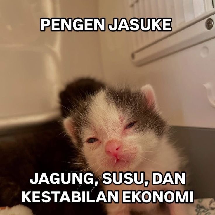 11 Meme lucu suka duka pencari cuan ini bikin angguk setuju, ngenesnya relate banget