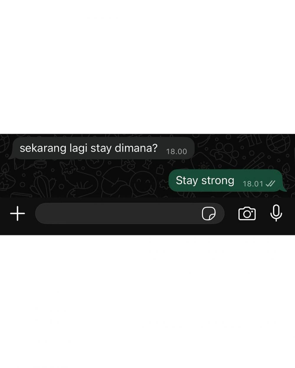 10 chat lucu terbaru 2025, isinya random banget tapi endingnya nggak ketebak