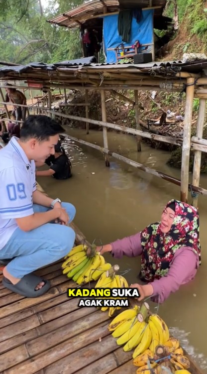 Beratnya cari duit, ibu ini sudah 35 tahun jualan pisang sampai harus nyebur di danau, ini 9 potretnya