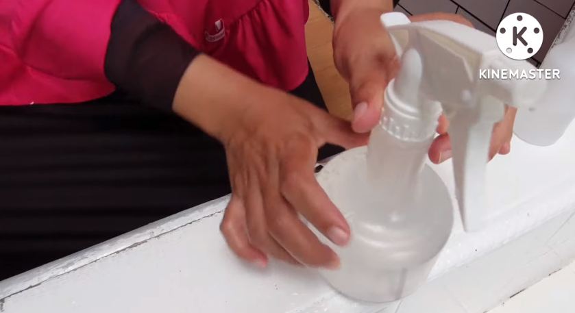 Anti bau! Begini cara praktis bersihkan kulkas dengan bahan dapur sederhana modal Rp10.000