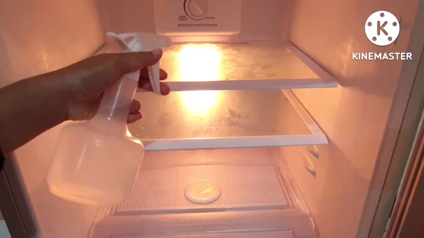 Anti bau! Begini cara praktis bersihkan kulkas dengan bahan dapur sederhana modal Rp10.000