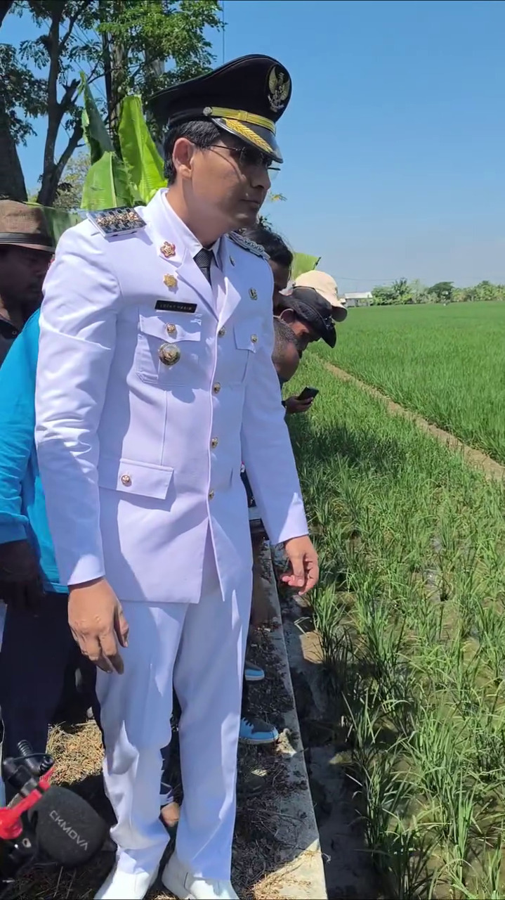 7 Potret Lucky Hakim kembali lepas seratusan ular dan biawak untuk atasi hama tikus, tuai pro kontra