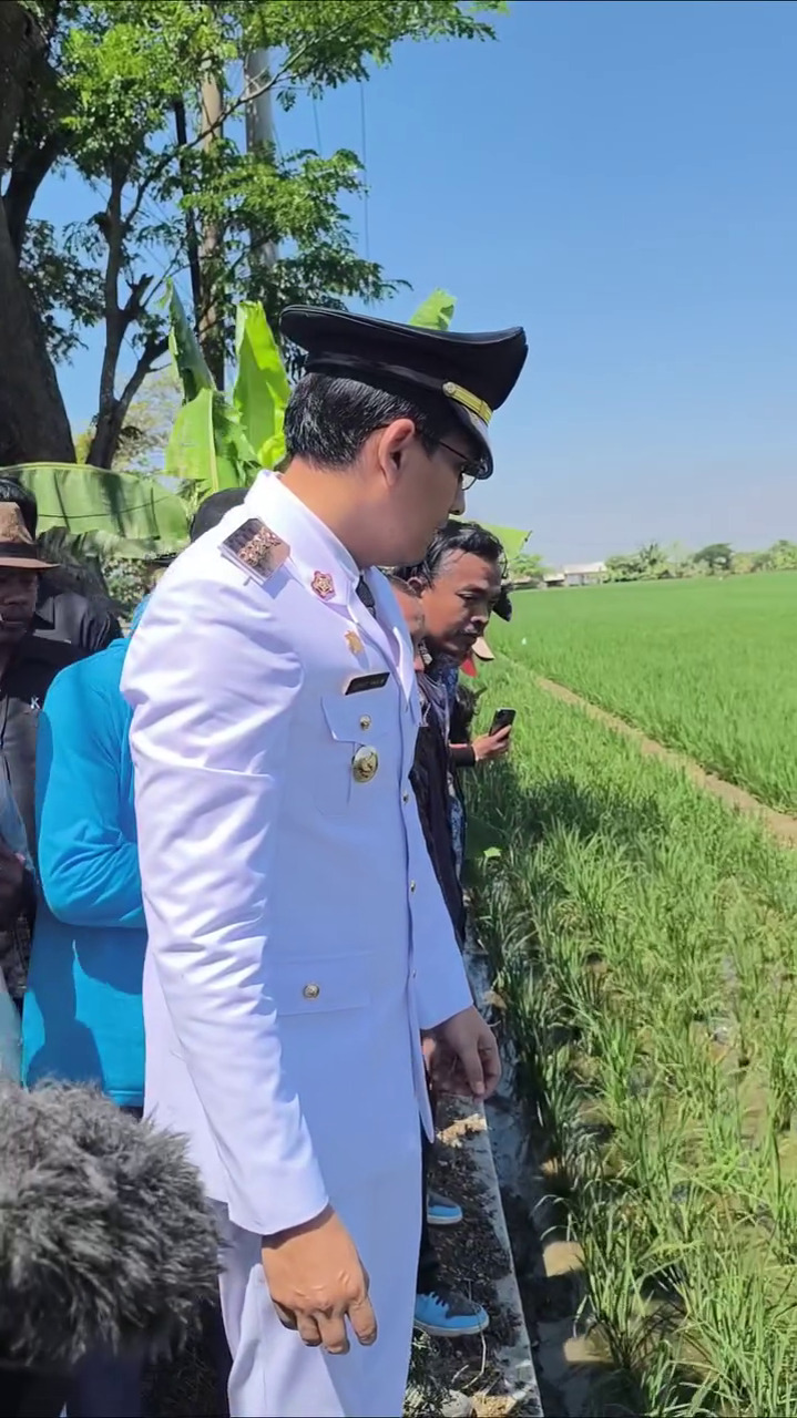 7 Potret Lucky Hakim kembali lepas seratusan ular dan biawak untuk atasi hama tikus, tuai pro kontra