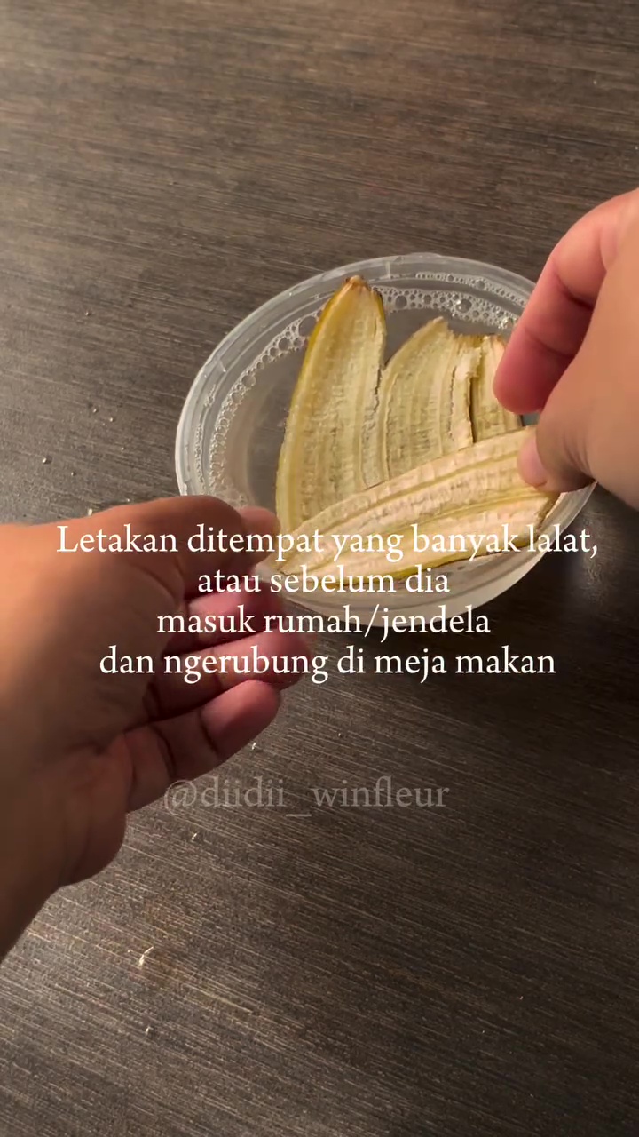 Ingin kurangi gangguan lalat di rumah? Coba perangkap  dari 3 bahan dapur ini untuk mengatasinya