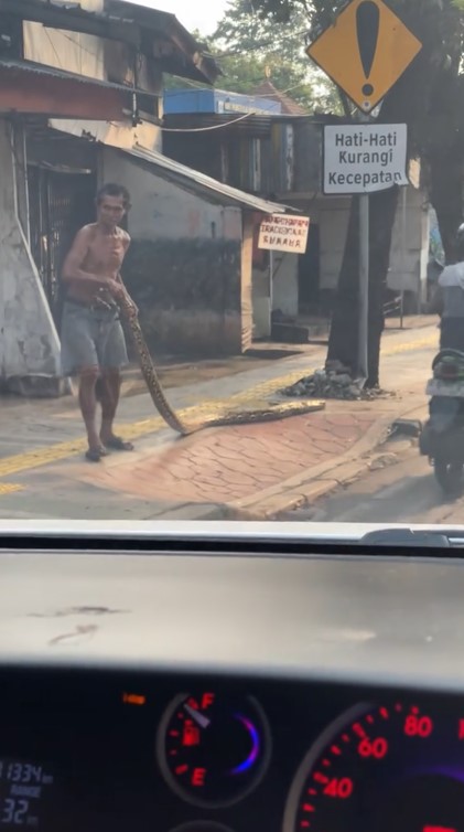 Kesal banyak pengendara motor naik ke trotoar, pria ini nekat taruh ular piton di pinggir jalan