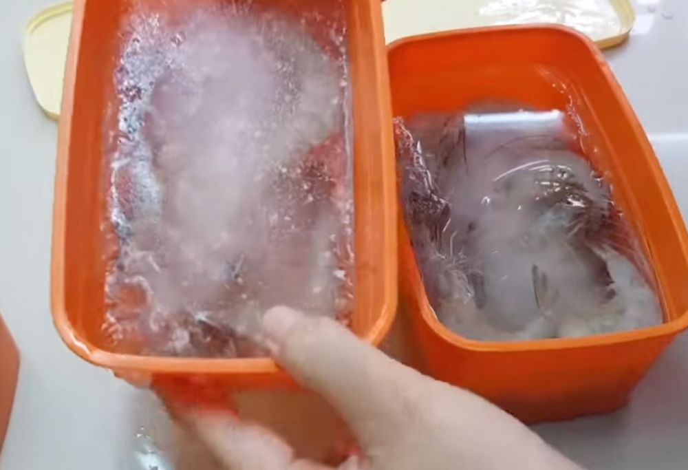 Cara mudah menyimpan udang biar awet sampai 1 bulan, terbukti dari ahlinya langsung