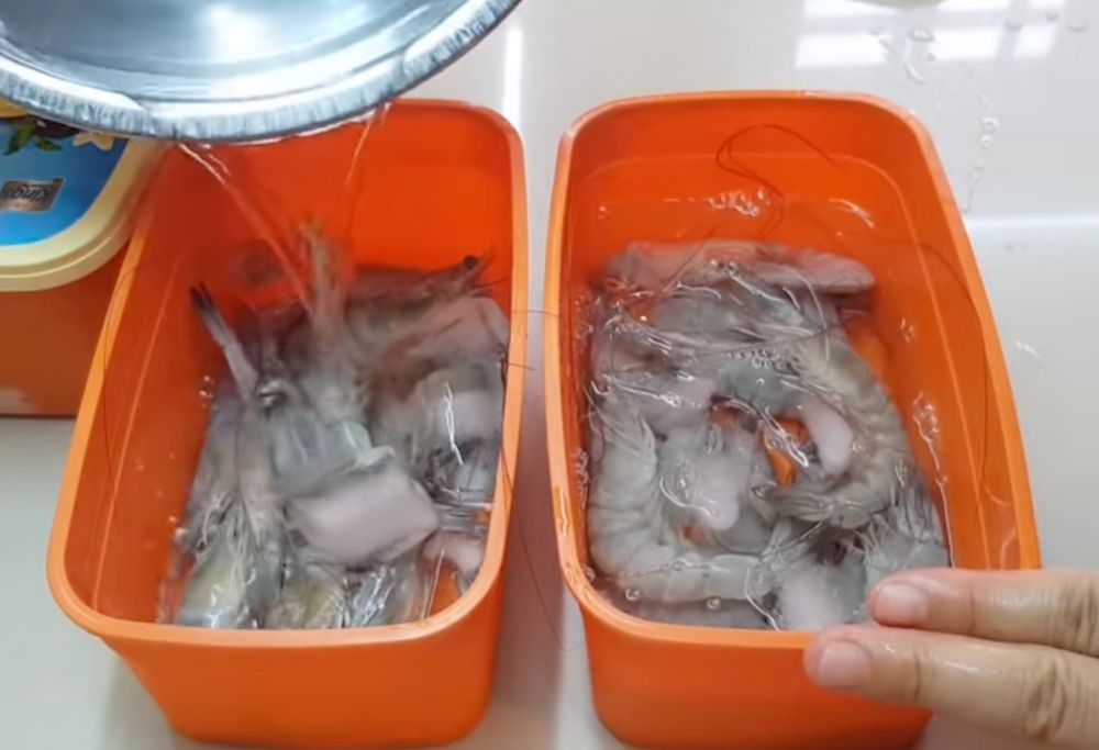 Cara mudah menyimpan udang biar awet sampai 1 bulan, terbukti dari ahlinya langsung