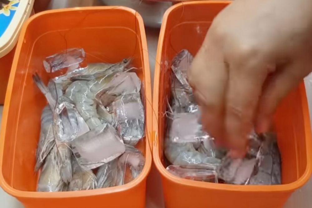 Cara mudah menyimpan udang biar awet sampai 1 bulan, terbukti dari ahlinya langsung