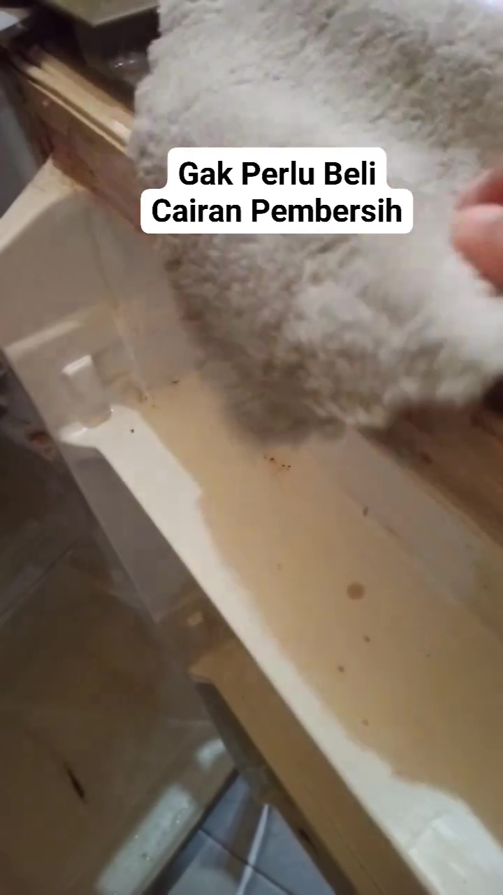 Bukan pakai odol, ternyata cuka bisa ampuh bersihkan karet pintu kulkas berjamur, begini cara pakainya