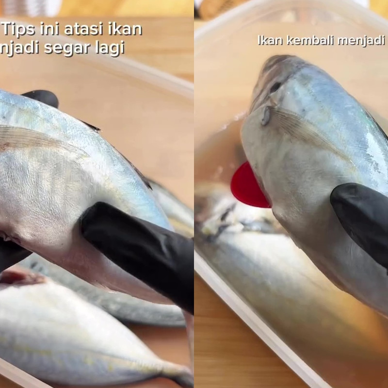 Wajib tahu! Ikan yang sudah lama disimpan di kulkas bisa segar lagi dengan rendaman minuman ini