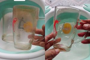 Effortless! Ternyata ini rahasia gelas kaca kusam bisa jadi baru lagi tanpa disikat kuat