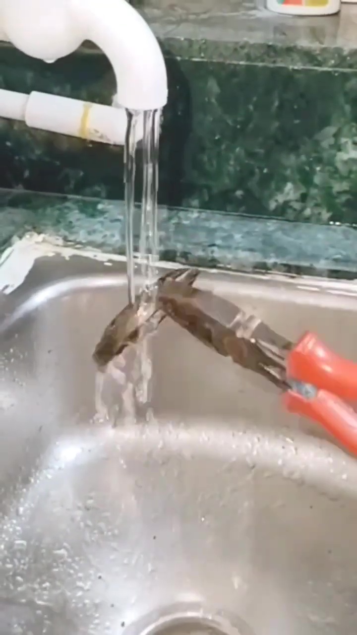 Tak perlu direndam berjam-jam, ini cara ampuh bersihkan kerak hitam burner kompor gas cuma 10 menit