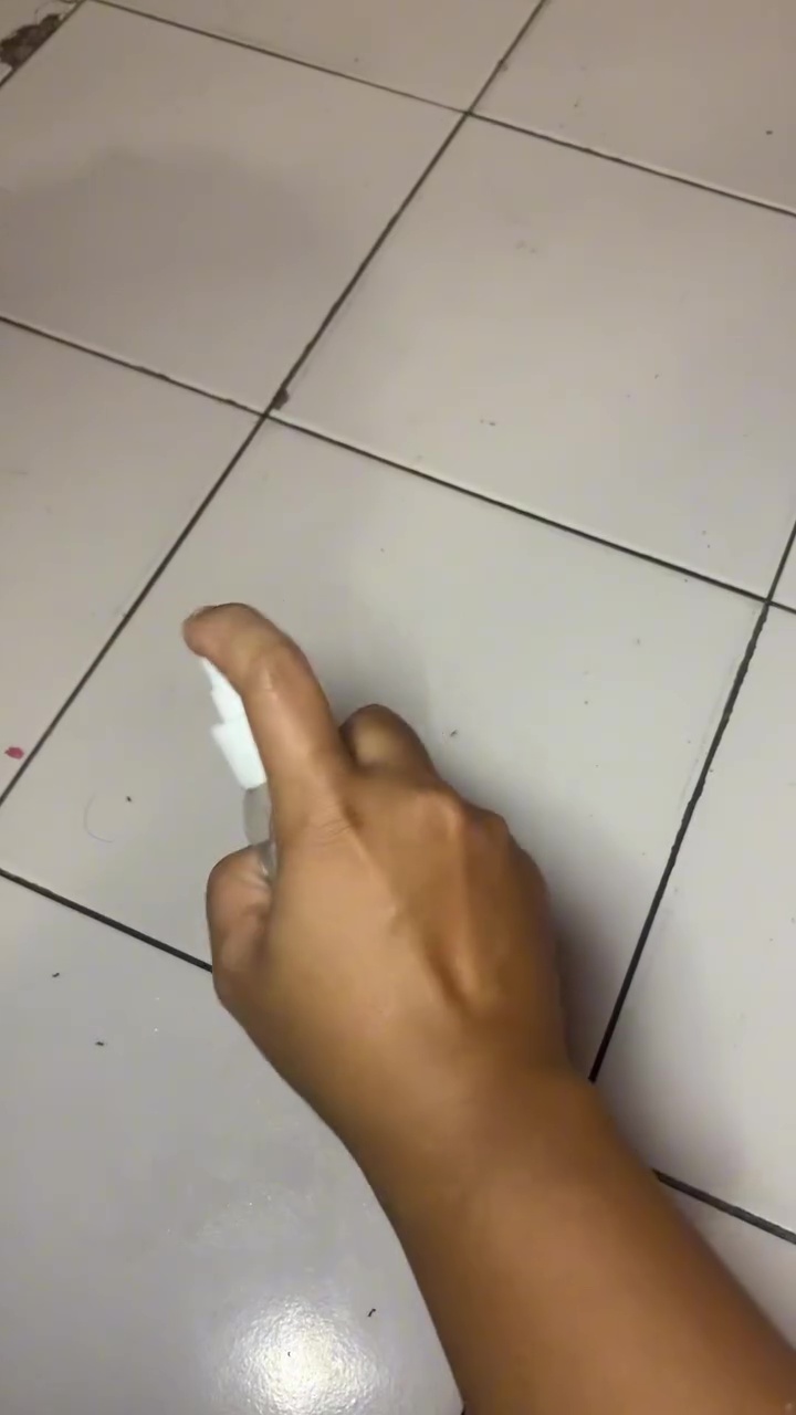 Tak banyak yang tahu! Ternyata micin bisa ampuh basmi gerombolan semut, begini cara pakainya