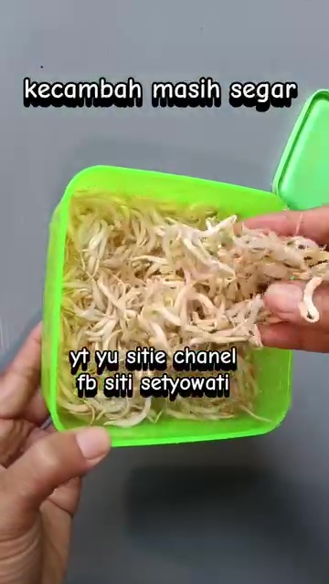 Antibusuk, ini trik gampang simpan kecambah biar awet segar 1 minggu tanpa khawatir menghitam