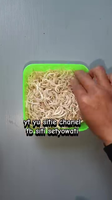 Antibusuk, ini trik gampang simpan kecambah biar awet segar 1 minggu tanpa khawatir menghitam