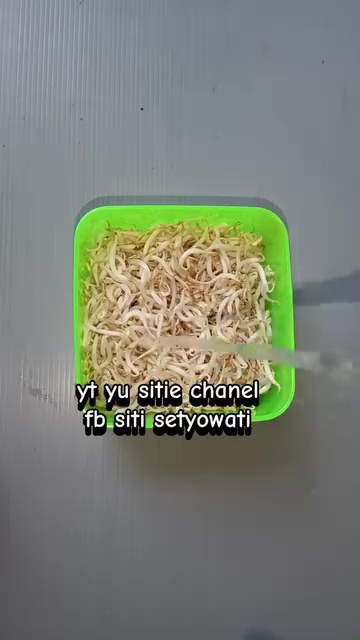 Antibusuk, ini trik gampang simpan kecambah biar awet segar 1 minggu tanpa khawatir menghitam