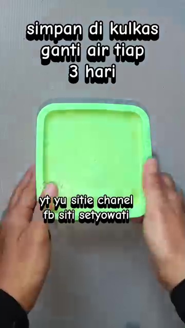 Antibusuk, ini trik gampang simpan kecambah biar awet segar 1 minggu tanpa khawatir menghitam