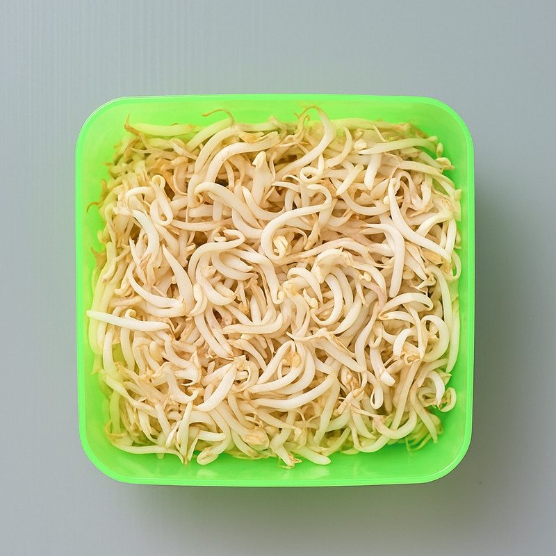 Antibusuk, ini trik gampang simpan kecambah biar awet segar 1 minggu tanpa khawatir menghitam