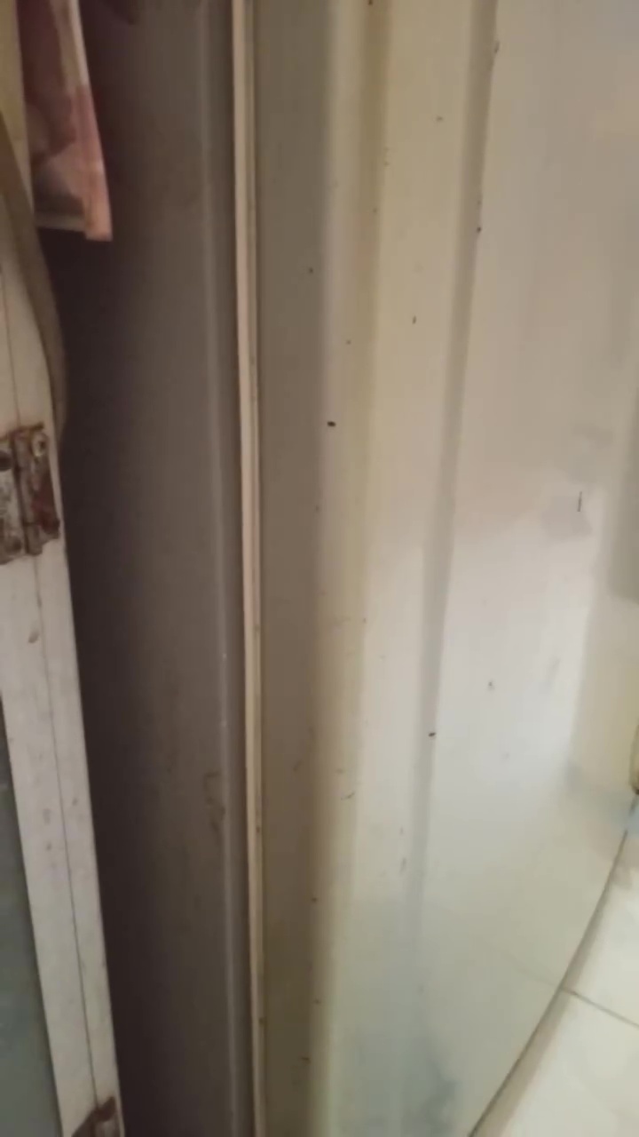 Karet pintu kulkas longgar jangan dibiarkan! Segera bersihkan dengan cara ini biar rapat lagi