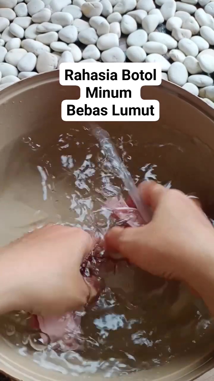 Punya botol minum tapi berlumut? Jangan dibuang! ini cara efektif membersihkannya agar kesat