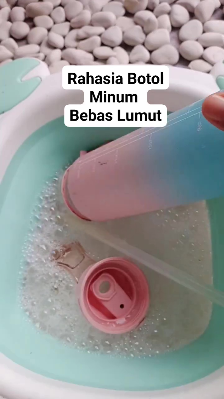 Punya botol minum tapi berlumut? Jangan dibuang! ini cara efektif membersihkannya agar kesat